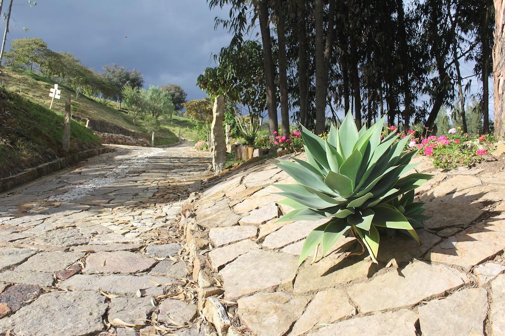 Bella Tierra Hotel Boutique Tibasosa Buitenkant foto
